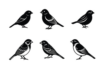 set of bird sparrow Black Silhouette Bundle - Stunning Vector Illustrations for Wild or domestic animals Nature Lovers, isolated on white