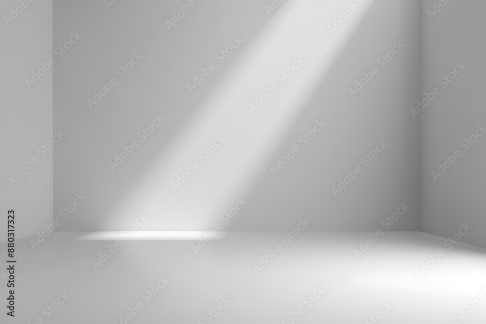Wall mural abstract empty white and gray gradient soft light background of studio room for art work design.