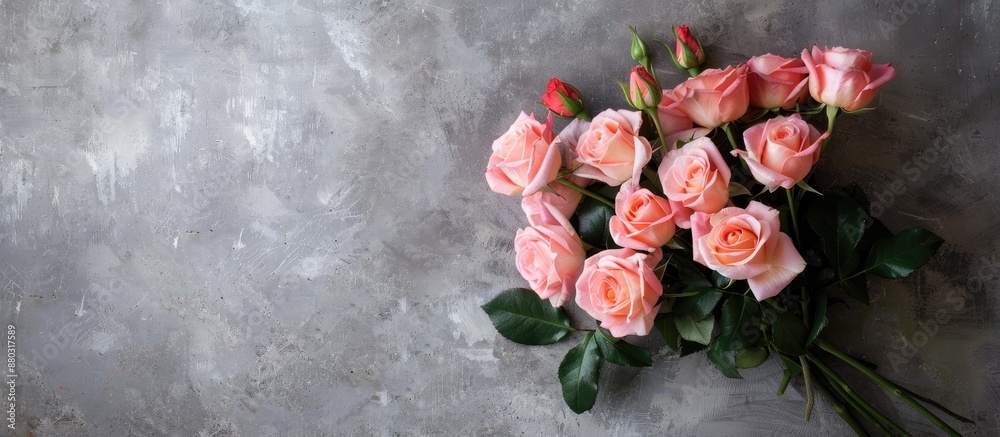 Poster pink roses bouquet seen from above on a blank backdrop with copy space image.