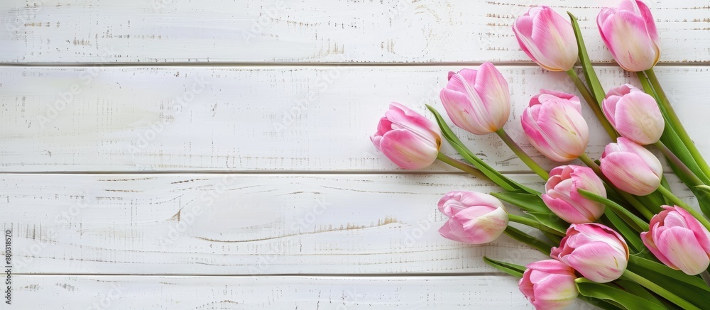 Poster Spring background with tulips in two corners against a white plank backdrop, ideal for inserting text with copy space image.