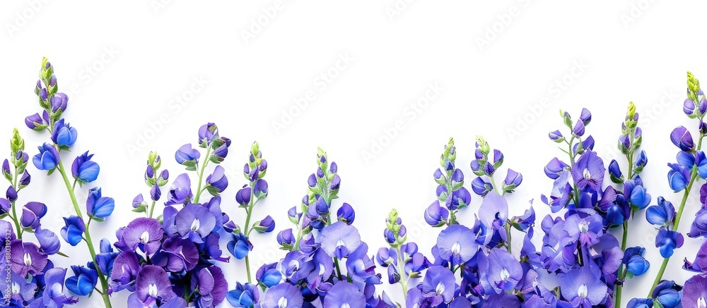 Aufkleber Delphinium flower on a white backdrop with copy space image.