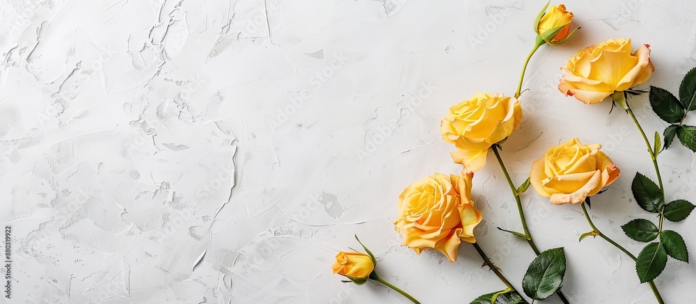 Poster yellow roses adorning a blank card set against a light grey background in a flat lay composition wit