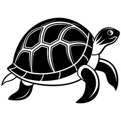 minimalist turtle with smooth shell 2 Vector Design and illustration