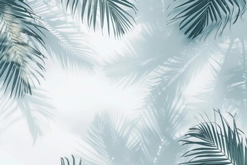 Tropical tranquility: palm leaves on a white fuzzy background