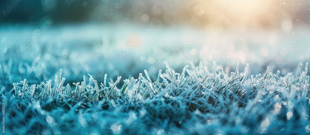 Aufkleber winter frost decorating grass in the background of a copy space image.