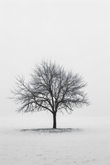 Fototapeta premium Black and white minimalism, fine art for a funeral home