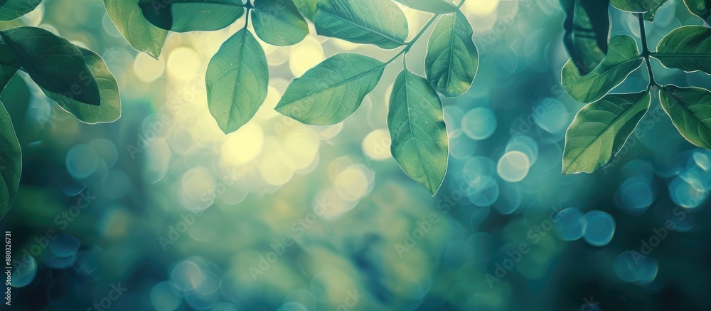 Poster close-up shot of green leaves at the top of the frame in a vintage style with bokeh effects, ideal f