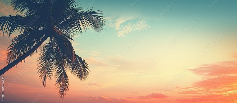 Aufkleber silhouette of a tropical palm tree against a sunset sky with a cloudy abstract background creates a 