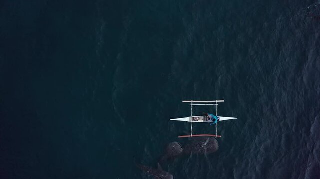 Aerial video of a man feeding whale sharks from above. Oslob