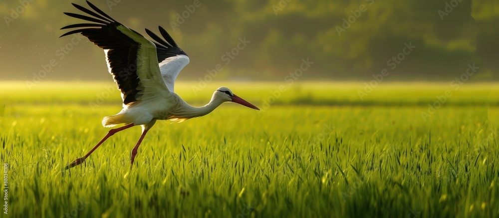 Poster a stork caught in the moment of a triumphant hunt on a lush green field perfect for a copy space ima