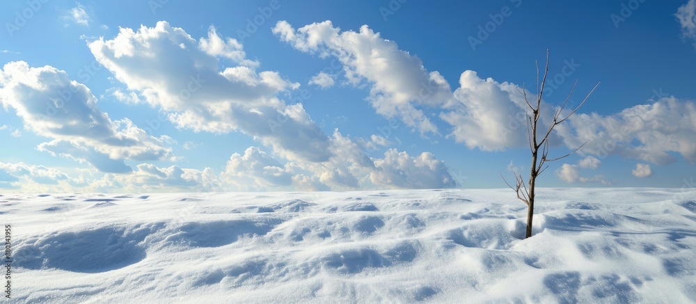 Poster Scenic view of snow against a backdrop of a blue sky with clouds and a stick in the foreground in the copy space image