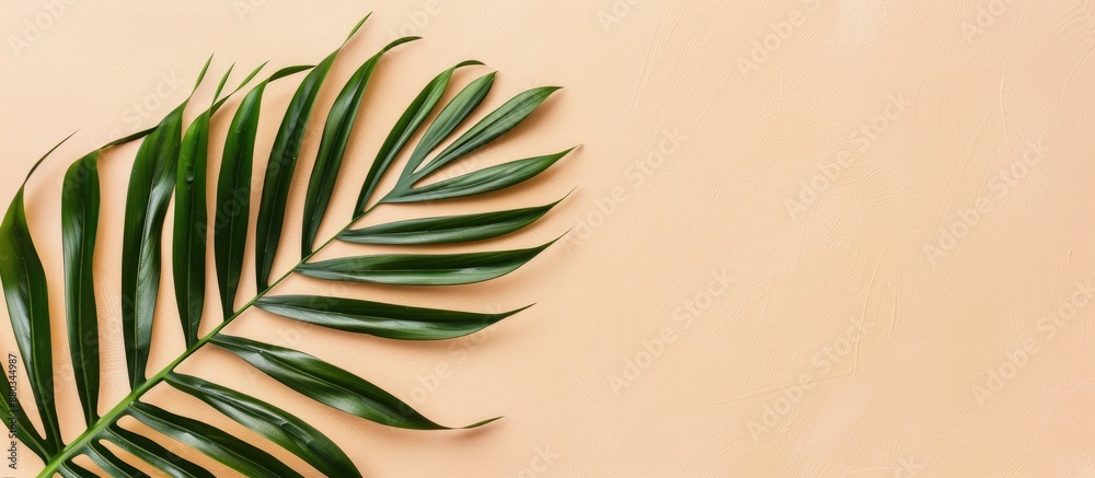 Poster flat lay with a tropical vibe featuring a palm leaf on a soft beige background perfect for a copy sp