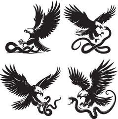 Bald eagle flying and attack snake vector silhouette illustration isolated on white background. Eagle soaring with spread wings. Food chain, predator hunter catch a prey. Animal wildlife nature scene.