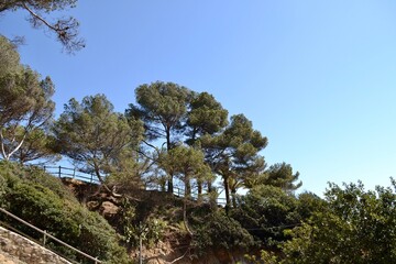 nature of the Mediterranean coast, holiday park
