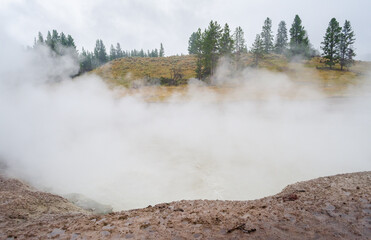 Mud Volcano and Sulfur Cauldron, Mud Pots, and Fumaroles, in Yellowstone National Park Wyoming, Hazy Thermal Features and Pine Forests