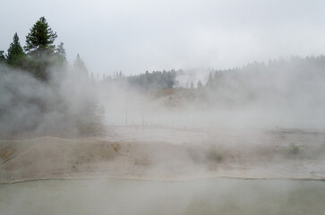 Black Dragons Cauldron Mud Volcano Area, Hazy Thermal Features and Pine Forests at Yellowstone National Park
