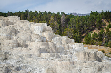 Minerva Terrace Mammoth Hot Springs Yellowstone National Park United States Of America