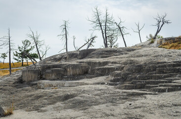 Upper Terrace at Mammoth Hot Springs in Yellowstone National Park in Wyoming United States