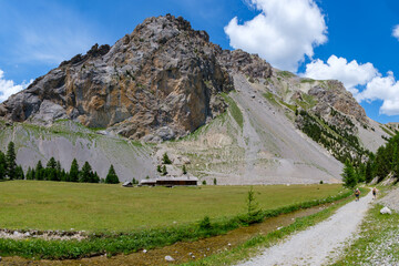 Pr&eacute; d'altitude (Alpes, France)