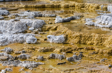 Palette Springs. Devils thumb at the Mammoth Hot Springs. Yellowstone National Park. Wyoming. USA