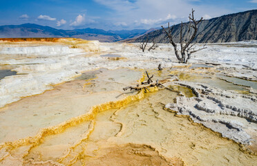 USA, Wyoming, Mammoth Hot Springs, Yellowstone National Park, Upper Terraces, Canary Spring