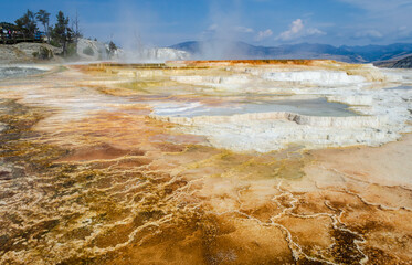 USA, Wyoming, Mammoth Hot Springs, Yellowstone National Park, Upper Terraces, Canary Spring