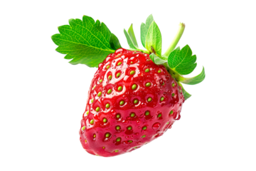 A fresh and juicy strawberry with green leaves isolated on a white transparent background.