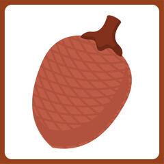ita palm fruit healthy. food fruit icon concept isolated . flat cartoon style