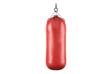 Boxing speed bag isolated on transparent background