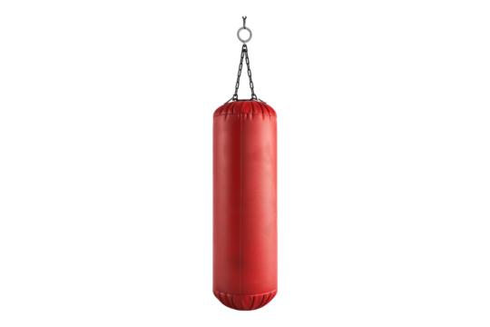 Boxing speed bag isolated on transparent background