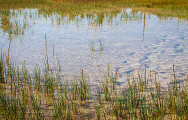Yellowstone National Park, Wyoming, USA, Upper Geyser Basin, Upper Geyser Pool