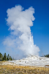 Castle Geyser erupting, Upper Geyser Basin, Yellowstone National Park, Wyoming, Montana