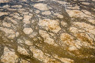 Turquoise Pool in the Midway Geyser Basin in Yellowstone National Park in Wyoming United States