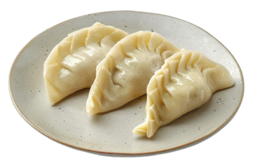 Dumpling isolated on transparent background