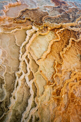 Mound Spring and Jupiter Terrace, Mammoth Hot Springs, Yellowstone National Park, Wyoming, United States of America