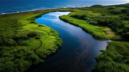 Fototapeta premium Aerial View of Serene River Meandering Through Lush Green Landscape Near Ocean on a Sunny Day