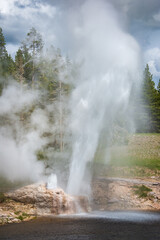 Riverside Geyser at Yellowstone National Park