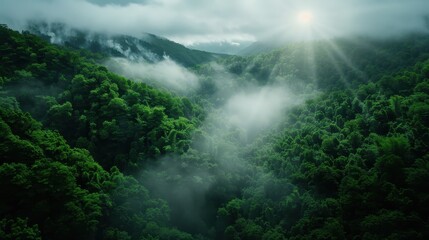 Lush Green Forest with Mist and Sun Rays Breaking Through Clouds in a Serene Mountain Landscape