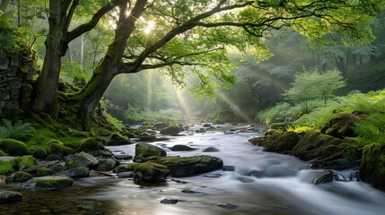 Obraz premium Enchanting images of mystical forests, featuring towering trees, dappled sunlight filtering through foliage