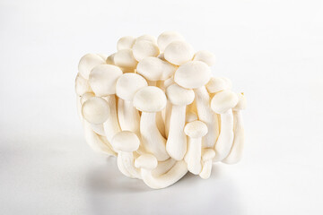 Japanese Shimeji mushroom for cooking