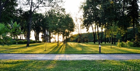 Fototapeta premium Sunrise in a park. Trees in light on rising sun cast long shadow on a grass. 
