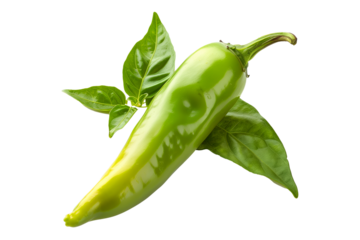 Yellow chili pepper Anaheim isolated on a white background.