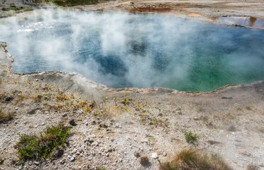 Black Pool, West Thumb Geyser Basin, Yellowstone Naitonal Park