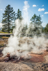 Fumaroles at Geyser Hill, Old Faithful Area, Yellowstone National Park in Wyoming