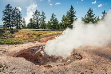 Fumaroles at Geyser Hill, Old Faithful Area, Yellowstone National Park in Wyoming