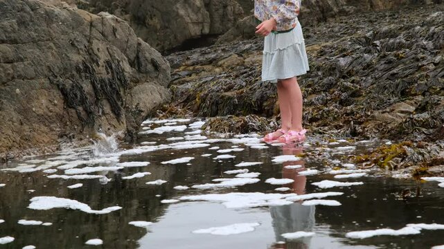 Girl on coastal rocks catches klipfish in sea rockpool