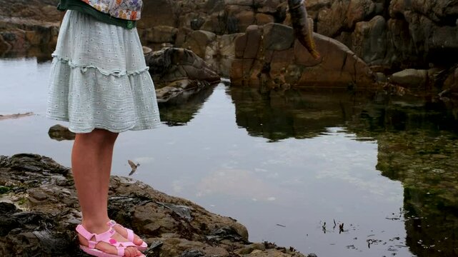 Girl holds up Super Klipfish that she caught in ocean rockpool on coastline