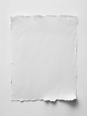 Foglio bianco di cartoncino strappato ai bordi. Spazio per testo o messaggio.