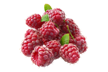 Raspberry isolated on transparent background