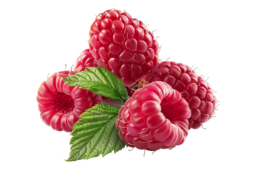Raspberry isolated on transparent background